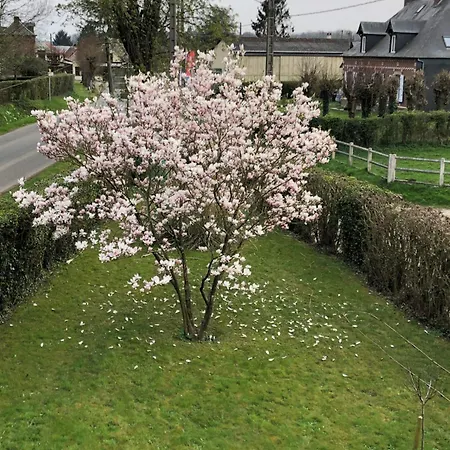 Apartamento Numero 7